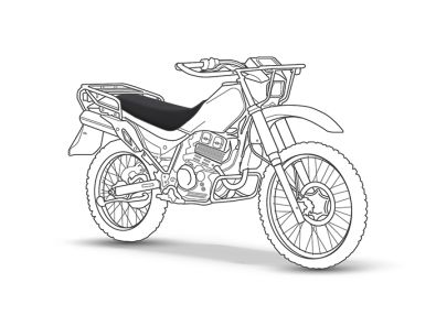 Kawasaki Stockman 250